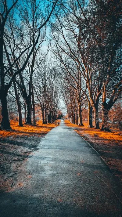 Sleek Asphalt Wallpaper Nature Wallpaper 4K 2268x4032 Gray