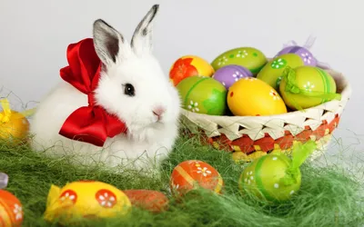 Dreamy Cute Wallpaper Abstract Wallpaper 4K 2880x1800 A, Cute, White, Bunny, With, Red, Bow, Sits, Beside, Basket, Filled, Colorful, Ultrawide, QHD