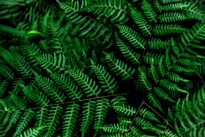 General 5568x3712 Abstract Abstract Wallpaper 4K 5568x3712 Wallpaper, General, 5568x3712, Brown, Landscape, 4k