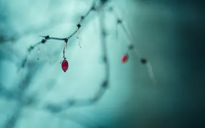 Vivid General Wallpaper Abstract Wallpaper 4K 1920x1200 Wallpaper, General, 1920x1200, Gray, Ultrawide, Full HD