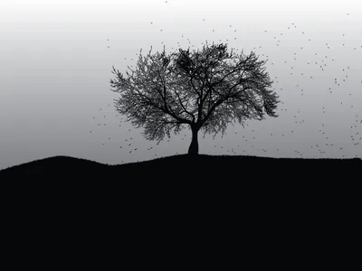 Calm General Wallpaper Abstract Wallpaper 4K 1440x1080 Wallpaper, General, 1440x1080, White, Landscape