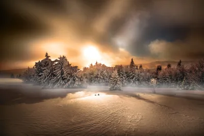 Golden Nature Wallpaper Nature Wallpaper 4K 2000x1333 Nature, Sunset, Snow, Forest, Winter, Hd, Desktop, White, Brown, Ultrawide, Full HD