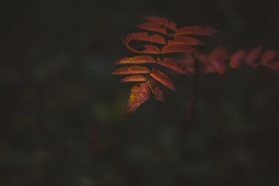 General 5472x3648 Abstract Abstract Wallpaper 4K 5472x3648 Wallpaper, General, 5472x3648, Brown, Landscape, 4k