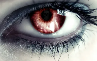Close Dark Brown Eye Tiny Black/Dark Wallpaper 4K 1920x1200 Hd, Pc, Desktop, Wallpaper, Close-up, Of, A, Dark, Brown, Eye, Tiny, Skeleton, White, Ultrawide, Full HD