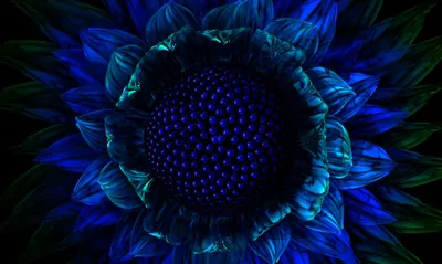 Cgi Abstract Deep Blue Teal Wallpaper 4K, Abstract category
