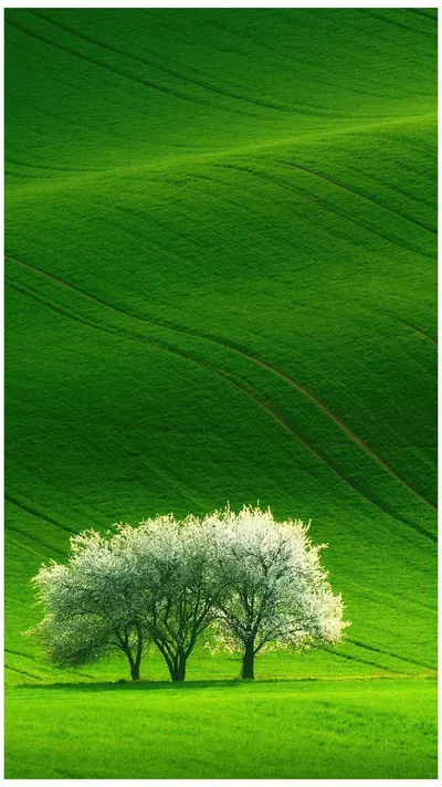 Nature Com Technology Wallpaper 4K, Technology category