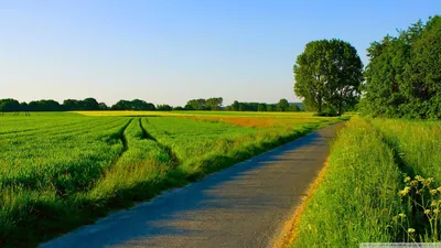 Epic Landscape Wallpaper Wallpaper 4K, Nature category