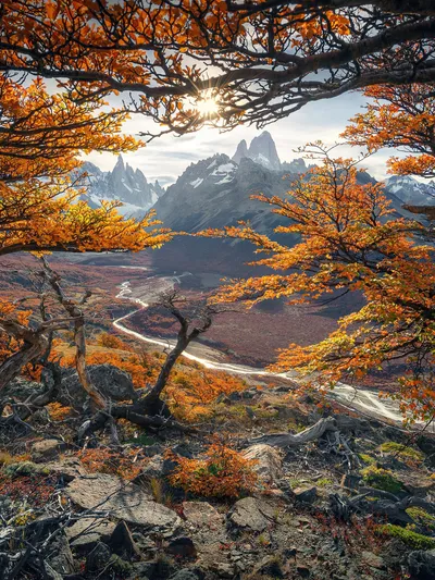 Golden Nature Wallpaper Nature Wallpaper 4K 1536x2048 White