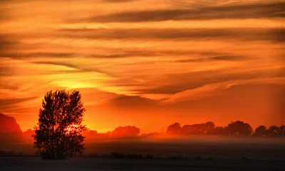 Moody Orange Wallpaper Nature Wallpaper 4K 2048x1234 Orange, Sunrise, Over, A, Misty, Landscape, With, Layered, Clouds, Silhouetted, Tree, Desktop, Purple, Ultrawide, Full HD