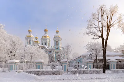 Vibrant Winter Wallpaper Nature Wallpaper 4K 2000x1335 Winter, Scene, Of, A, Snowy, Saint, Petersburg, Temple, Russia, Surrounded, Fence, Bare, Gray, Landscape, Full HD