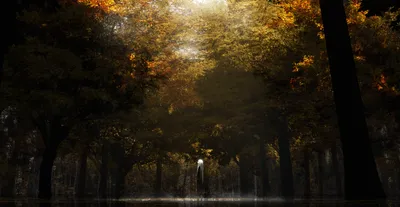 Misty Anime Wallpaper Nature Wallpaper 4K 2815x1455 Hd, Anime, Landscape, Wallpaper, Featuring, A, Serene, Forest, Dappled, Sunlight, Filtering, Through, Gray, Brown, Ultrawide, QHD