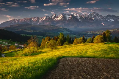 Golden General Wallpaper Abstract Wallpaper 4K 1800x1200 Wallpaper, General, 1800x1200, Orange, Brown, Landscape