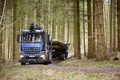 Benz Truck Navigates Nature Wallpaper 4K 3717x2480 A, Mercedes‑benz, Truck, Navigates, Through, Forest, Transporting, Large, Log, Trailer, Serves, Striking, Gray, Landscape, QHD