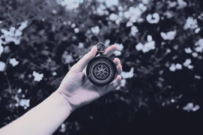 Digital Art Painting Illustration Technology Wallpaper 4K 5472x3648 Digital, Art, Painting, Illustration, Hand, Holding, An, Antique, Compass, Against, Blurred, White, Landscape, 4K