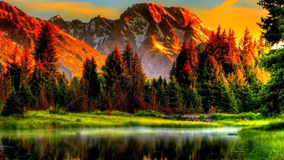 Nature App Amazon Wallpaper 4K, Nature category
