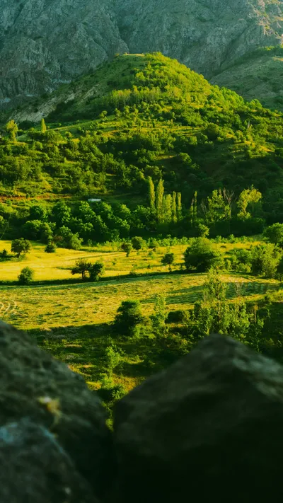Countryside Summer Nature World Wallpaper 4K 2588x4600 Purple, Brown