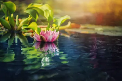 General 2048x1366 Abstract Abstract Wallpaper 4K 2048x1366 Wallpaper, General, 2048x1366, Gray, Purple, Landscape, Full HD