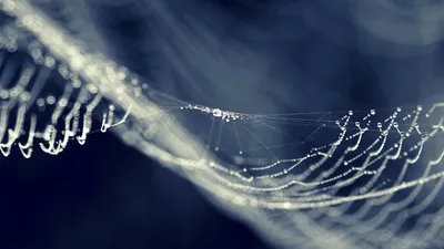Misty General Wallpaper Abstract Wallpaper 4K 1920x1080 Wallpaper, General, 1920x1080, Gray, Ultrawide, Full HD