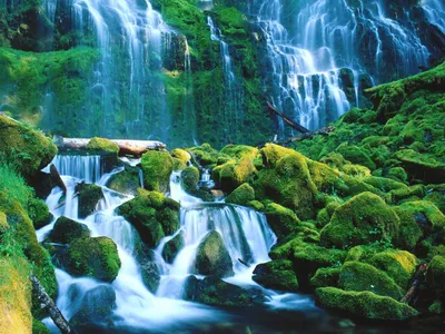 Serene Nature Lush Green Landscape Nature Wallpaper 4K 1600x1200 Hd, Desktop, Wallpaper:, Of, A, Serene, Nature, Scene, Featuring, Lush, Green, Landscape, White, Brown