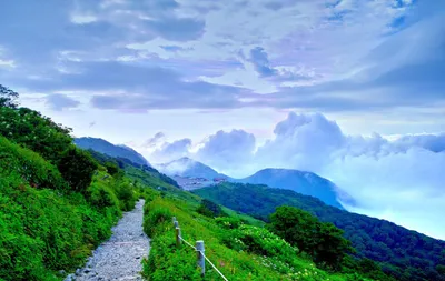 Vibrant Windows Wallpaper Wallpaper 4K, Nature category