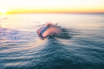 Crisp General Wallpaper Abstract Wallpaper 4K 1920x1278 Wallpaper, General, 1920x1278, White, Ultrawide, Full HD