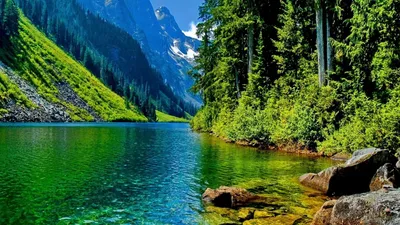 Bold Best Wallpaper Wallpaper 4K, Nature category