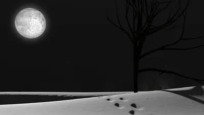 Moon Nature Artistic Space Wallpaper 4K 1920x1080 Moon, Nature, Artistic, Hd, Desktop, Wallpaper, Background, Gray, Ultrawide, Full HD