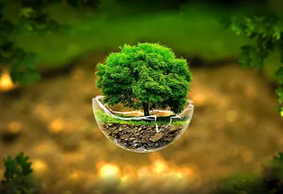Nature Full Screen Wallpaper 4K, Nature category
