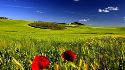 Nature Definition Cave Wallpaper 4K, Nature category