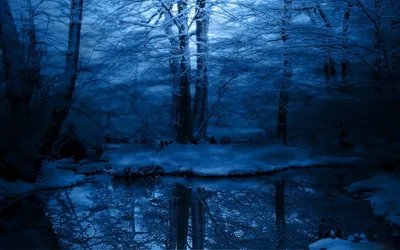 Serene Forest Blanketed Snow Nature Wallpaper 4K 1920x1200 Hd, Desktop, Wallpaper:, Featuring, A, Serene, Forest, Blanketed, Snow, Reflective, Tranquil, Water, Brown, Ultrawide, Full HD