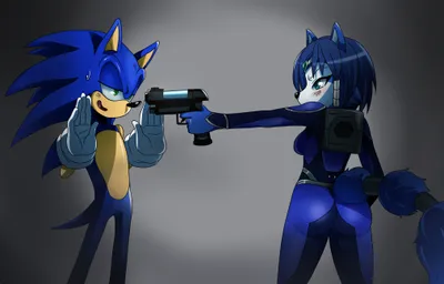 Bold Sonic Wallpaper Animals Wallpaper 4K 2024x1298 Hd, Pc, Wallpaper, Featuring, Sonic, The, Hedgehog, And, Krystal, Star, Fox, Dramatic, Gray, Ultrawide, Full HD