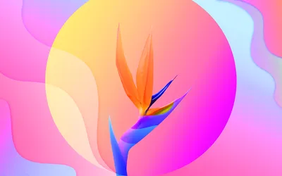 Calm General Wallpaper Abstract Wallpaper 4K 2800x1750 Wallpaper, General, 2800x1750, Pink, Orange, Yellow, Ultrawide, QHD