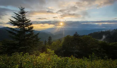 Forest Landscape Sunset Sunbeam Nature Wallpaper 4K 2048x1197 Hd, Pc, Desktop, Wallpaper, And, Background, Forest, Landscape, Sunset, Sunbeam, Breaking, Through, Gray, Ultrawide, Full HD