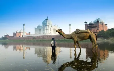 Crisp Serene Wallpaper Abstract Wallpaper 4K 1920x1200 A, Serene, Scene, Featuring, Camel, Standing, By, Reflective, Water, Body, Majestic, Taj, Pink, Yellow, Ultrawide, Full HD