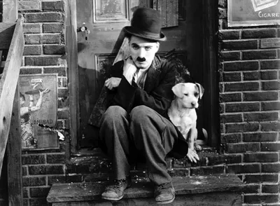 Epic Charlie Wallpaper Animals Wallpaper 4K 1500x1104 Charlie, Chaplin, Sits, On, Steps, Next, To, A, Dog, Scene, Movie, 039, Gray, Landscape