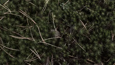 General 1920x1080 Abstract Abstract Wallpaper 4K 1920x1080 Wallpaper, General, 1920x1080, Gray, Brown, Ultrawide, Full HD