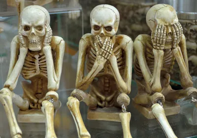 Three Skeletons Dark Black/Dark Wallpaper 4K 1920x1355 Hd, Pc, Desktop, Wallpaper, Showing, Three, Skeletons, In, Dark-themed, Design, Each, Covering, Brown, Gray, Landscape, Full HD