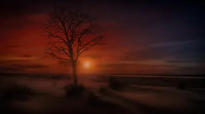 Misty Dark Wallpaper Nature Wallpaper 4K 5451x3058 Dark, Lonely, Tree, Stands, Against, A, Dramatic, Sky, Over, Sandy, Beach, Ocean, Brown, Ultrawide, 4K