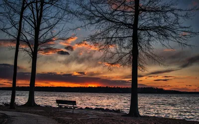 Bold Serene Wallpaper Nature Wallpaper 4K 1920x1200 Hd, Desktop, Wallpaper, Featuring, A, Serene, Lakeside, Sunset, Captured, Photography, Silhouetted, Trees, Gray, Ultrawide, Full HD