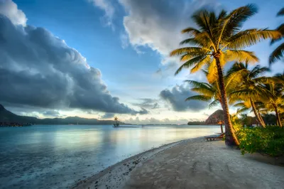 Misty Tropical Wallpaper Nature Wallpaper 4K 2560x1704 Hd, Pc, Desktop, Wallpaper, Featuring, A, Tropical, Beach, Palm, Trees, Calm, Ocean, Gray, Ultrawide, QHD
