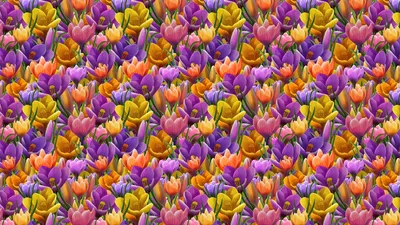 Vibrant Colorful Floral Pattern Artistic Abstract Wallpaper 4K 1920x1080 A, Vibrant, Colorful, Floral, Pattern, Featuring, Artistic, Orange, Pink, Purple, Flowers, Designed, Brown, Ultrawide, Full HD