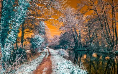 Winter Covered Snow Runs Nature Wallpaper 4K 1920x1200 Winter, Path, Covered, In, Snow, Runs, Alongside, A, Calm, River, Framed, Frosted, Gray, Brown, Ultrawide, Full HD