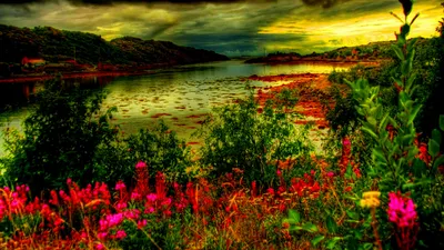 Vibrant Artistic Wallpaper Nature Wallpaper 4K 1920x1080 Artistic, Flower, Hd, Desktop, Wallpaper, Background, Image, Brown, Gray, Ultrawide, Full HD