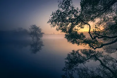 Serene Lake Sunrise Nature Wallpaper 4K 7315x4882 Hd, Desktop, Wallpaper, Of, A, Serene, Lake, At, Sunrise, Fog, Reflective, Water, Gray, Landscape, 4K