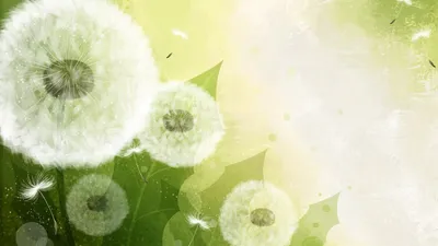 Bright General Wallpaper Abstract Wallpaper 4K 1920x1080 Wallpaper, General, 1920x1080, White, Ultrawide, Full HD
