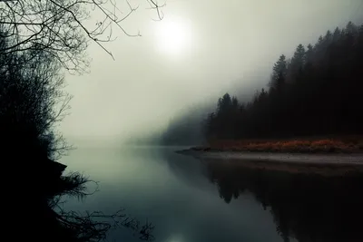 Vivid Serene Wallpaper Nature Wallpaper 4K 1920x1280 A, Serene, Misty, Landscape, Featuring, Calm, River, Reflecting, Dark, Silhouettes, Trees, Enveloped, Gray, Full HD