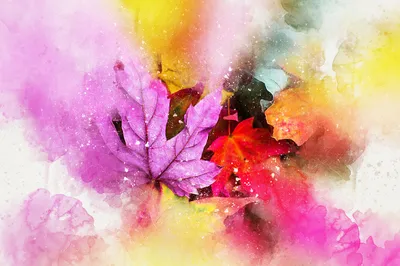 Vivid Colorful Wallpaper Abstract Wallpaper 4K 1920x1279 Hd, Desktop, Wallpaper, Featuring, A, Colorful, Watercolor, Art, Leaves, Blended, Vibrant, Hues, White, Ultrawide, Full HD