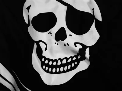 Dark Themed Close Detailed White Black/Dark Wallpaper 4K 1600x1200 Hd, Dark-themed, Pc, Desktop, Wallpaper, Featuring, A, Close-up, Detailed, White, Skull, Black, Gray, Landscape