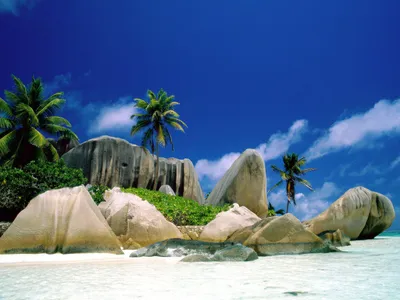 Serene Beach Clear Nature Wallpaper 4K 1600x1200 Hd, Wallpaper, Of, A, Serene, Beach, With, Clear, Blue, Sky, Palm, Trees, Brown, White, Landscape