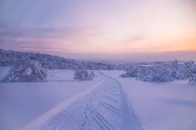 Serene Winter Landscape Snow Nature Wallpaper 4K 4000x2667 A, Serene, Winter, Landscape, With, Snow-covered, Trees, And, Snowy, Path, Stretching, Toward, Gray, 4k
